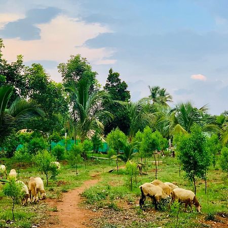 Eco Farm Villa Bangalore Dış mekan fotoğraf