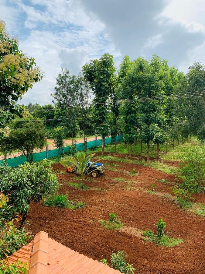 Eco Farm Villa Bangalore Dış mekan fotoğraf