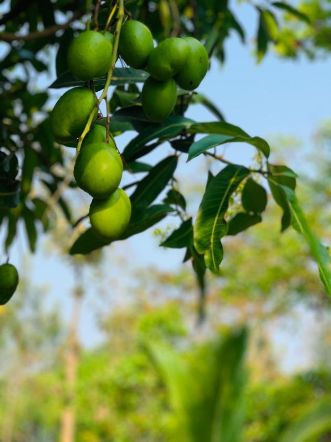 Eco Farm Villa Bangalore Dış mekan fotoğraf