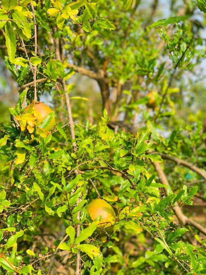 Eco Farm Villa Bangalore Dış mekan fotoğraf