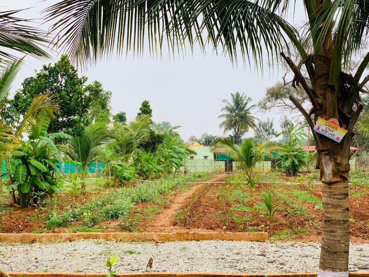 Eco Farm Villa Bangalore Dış mekan fotoğraf