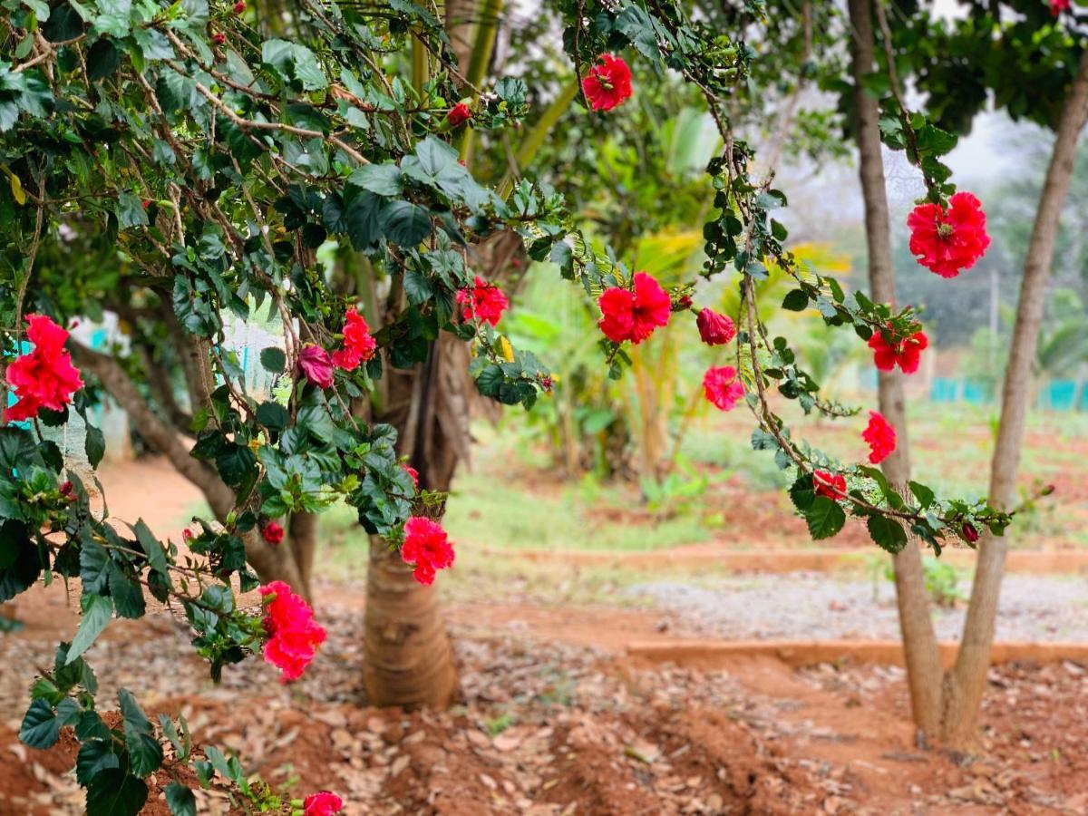 Eco Farm Villa Bangalore Dış mekan fotoğraf