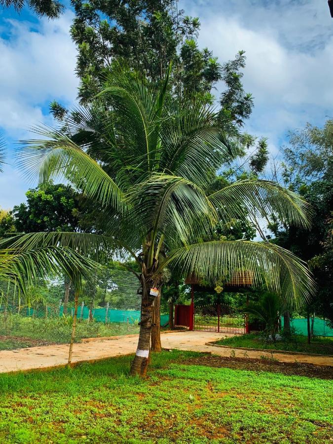 Eco Farm Villa Bangalore Dış mekan fotoğraf