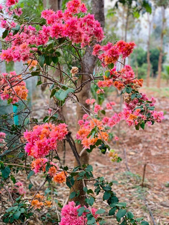 Eco Farm Villa Bangalore Dış mekan fotoğraf