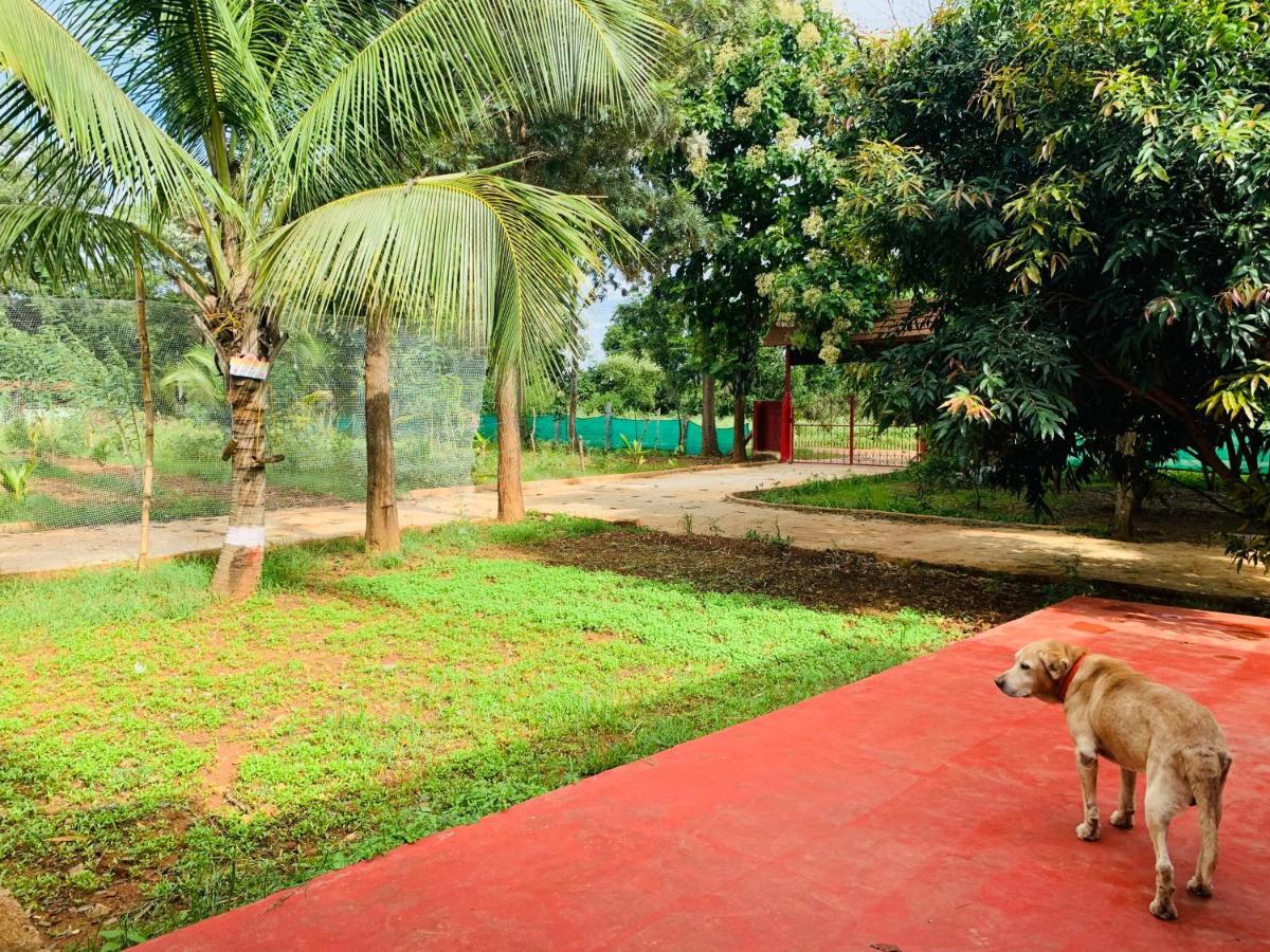 Eco Farm Villa Bangalore Dış mekan fotoğraf
