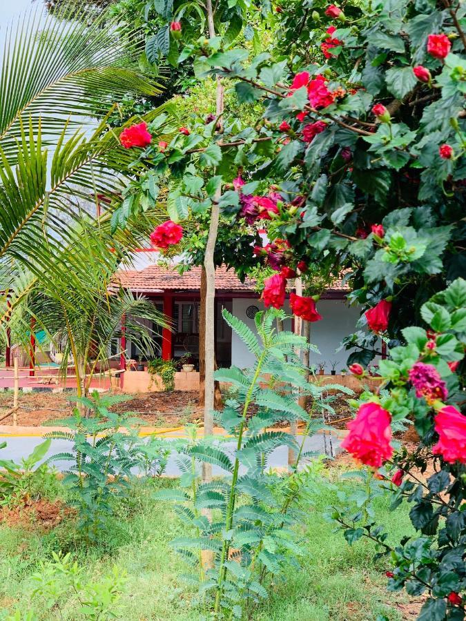 Eco Farm Villa Bangalore Dış mekan fotoğraf